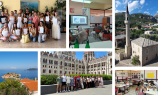 A collage of impressions from the short-term mobility placements