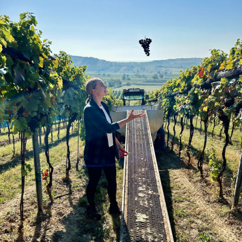 Jana Kroyer im Weingarten