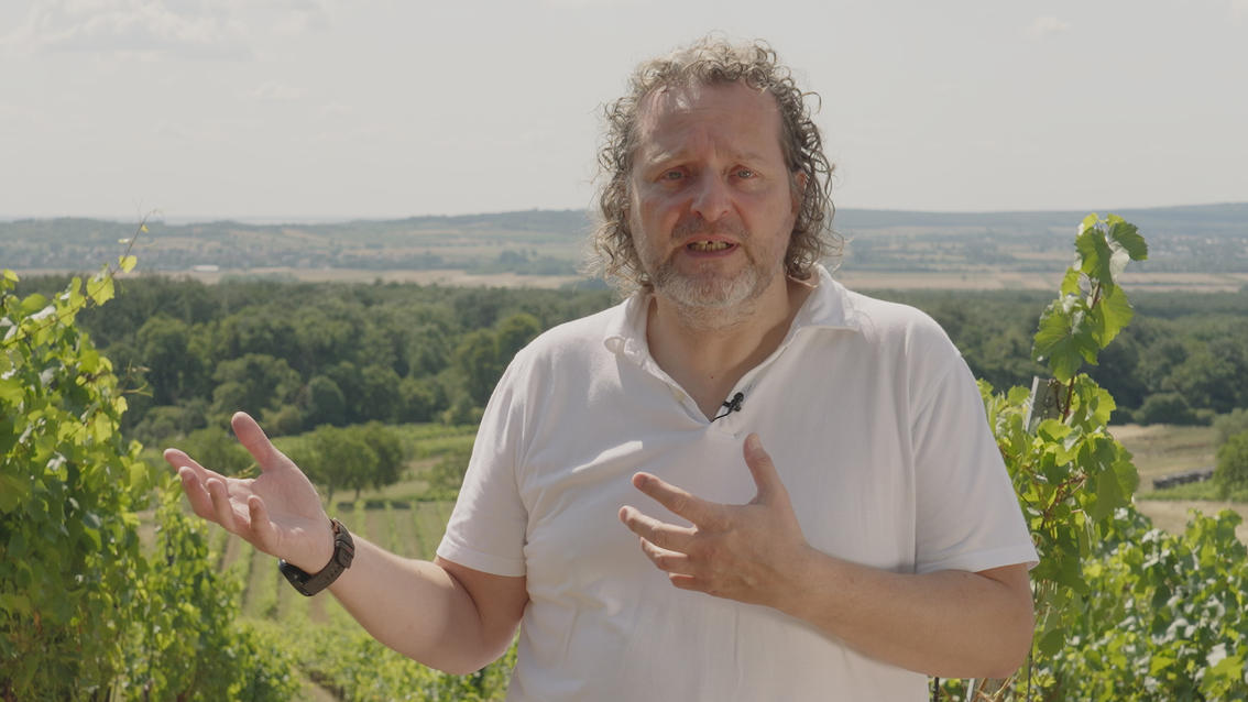 Studiengangsleiter Marcus Wieschhoff sprechend vor Weinbergen